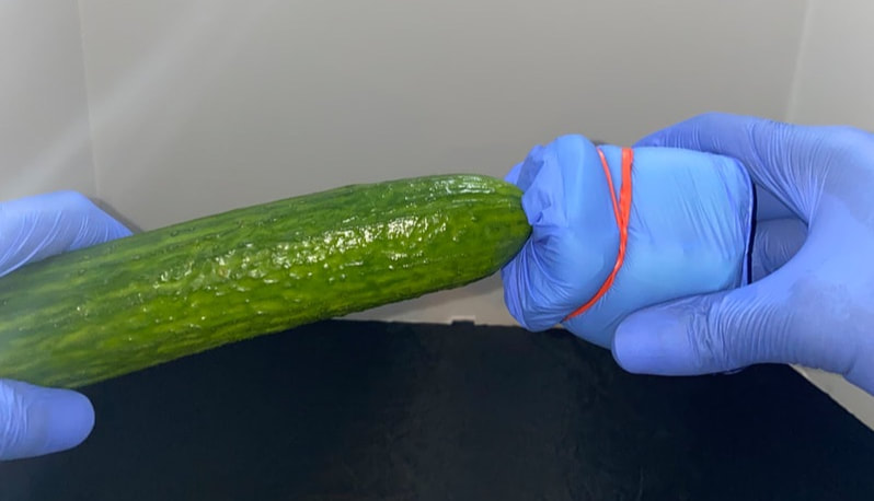 A person wearing latex gloves for making a DIY pocket pussy with sponges inside.